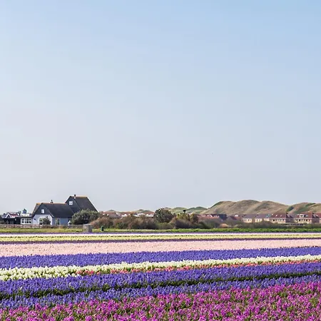 Co's Duyne דירה *